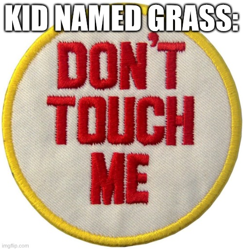 don't touch me | KID NAMED GRASS: | image tagged in don't touch me | made w/ Imgflip meme maker