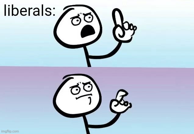 Speechless Stickman | liberals: | image tagged in speechless stickman | made w/ Imgflip meme maker