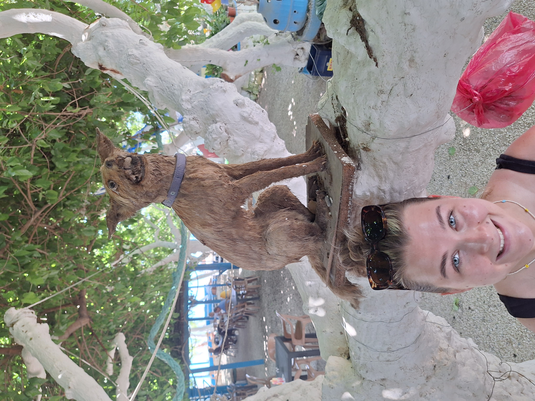 Hapoi Birthdio Bek-ka-kak-a Blank Meme Template