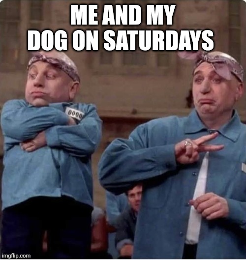 Me and my homies | ME AND MY DOG ON SATURDAYS | image tagged in me and my homies | made w/ Imgflip meme maker