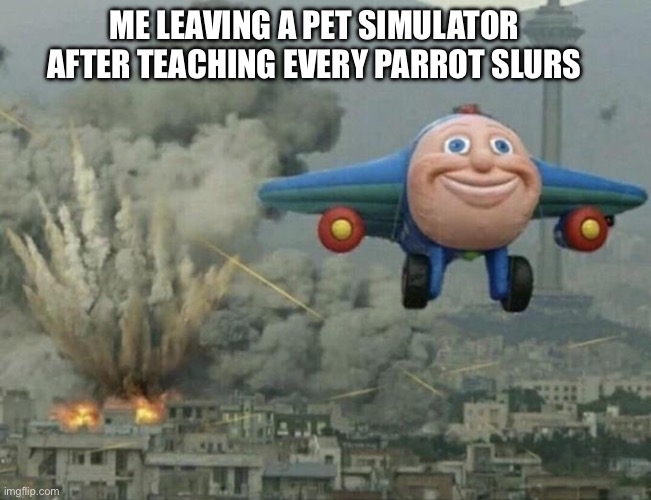 I lowk did that | ME LEAVING A PET SIMULATOR AFTER TEACHING EVERY PARROT SLURS | image tagged in plane flying from explosions | made w/ Imgflip meme maker