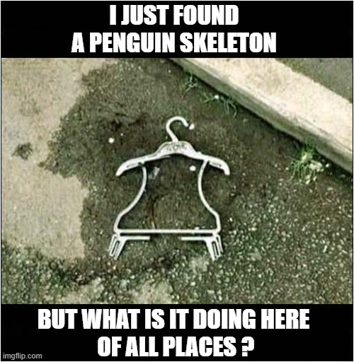 An Unusual Discovery | I JUST FOUND A PENGUIN SKELETON; BUT WHAT IS IT DOING HERE
 OF ALL PLACES ? | image tagged in unusual,discovery,penguin,skeleton | made w/ Imgflip meme maker