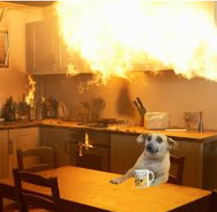 dog in kitchen on fire Blank Meme Template