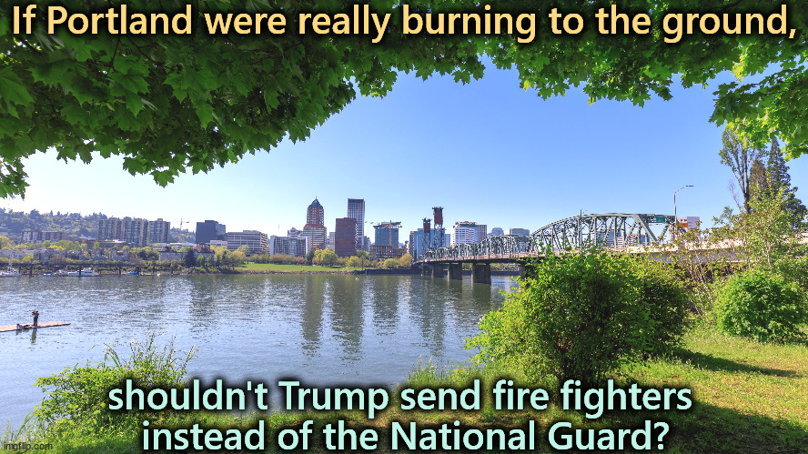 Trump is being fed bad info by his handlers. | If Portland were really burning to the ground, shouldn't Trump send fire fighters 
instead of the National Guard? | image tagged in trump,portland,lies,burning,firefighter,national guard | made w/ Imgflip meme maker