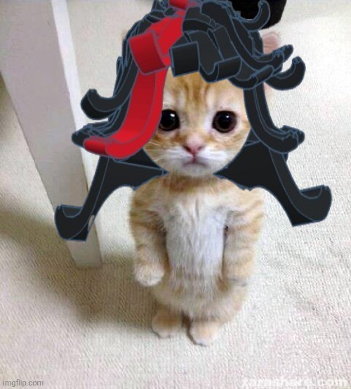 Cute Cat | image tagged in memes,cute cat | made w/ Imgflip meme maker