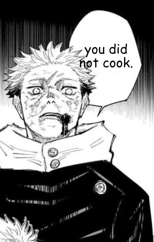 you didn't cook | you did not cook. | image tagged in yuji itadori i m you,you're cooked,cooked,oh no | made w/ Imgflip meme maker