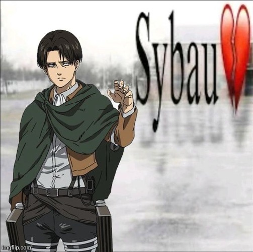 Levi Sybau | image tagged in levi sybau | made w/ Imgflip meme maker