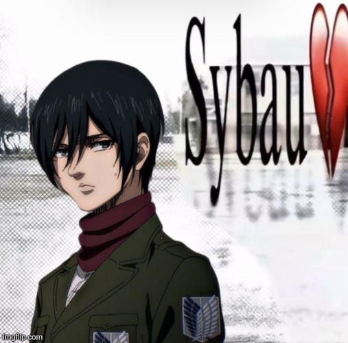 Mikasa Sybau | image tagged in mikasa sybau | made w/ Imgflip meme maker