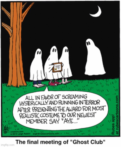 Rubes | image tagged in comics,rubes,ghost costumes,real ghost,award | made w/ Imgflip meme maker