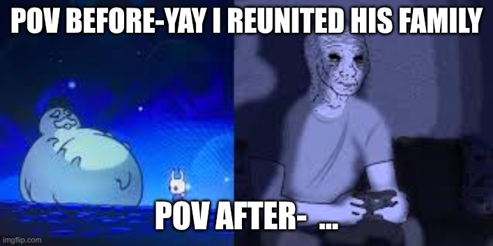 grub | POV BEFORE-YAY I REUNITED HIS FAMILY; POV AFTER-  ... | image tagged in gaming,hollow knight,memes | made w/ Imgflip meme maker
