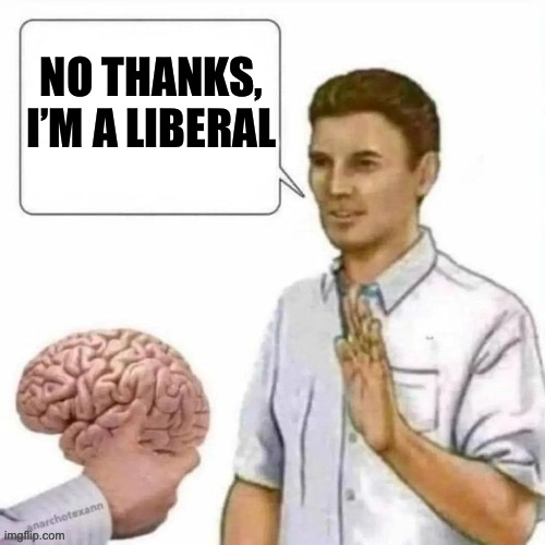 No thanks brain | NO THANKS, I’M A LIBERAL | image tagged in no thanks brain | made w/ Imgflip meme maker