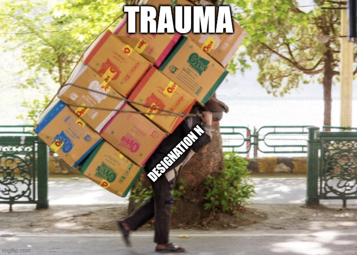 mede | TRAUMA; DESIGNATION N | image tagged in carrying a heavy load on your back,memeder drones | made w/ Imgflip meme maker