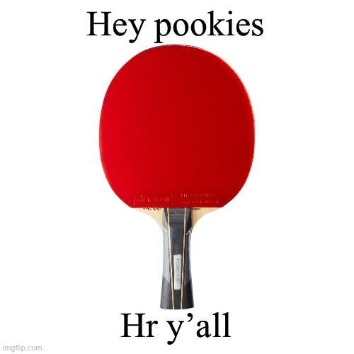 Ping pong | Hey pookies; Hr y’all | image tagged in ping pong | made w/ Imgflip meme maker