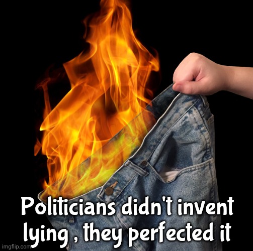 Pants on Fire | Politicians didn't invent lying , they perfected it | image tagged in pants on fire | made w/ Imgflip meme maker