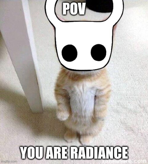 Cute Cat Meme | POV; YOU ARE RADIANCE | image tagged in memes,cute cat,hollow knight | made w/ Imgflip meme maker