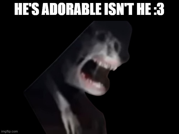 HE'S ADORABLE ISN'T HE :3 | made w/ Imgflip meme maker