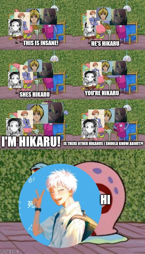 hikarus | THIS IS INSANE! HE'S HIKARU; YOU'RE HIKARU; SHES HIKARU; I'M HIKARU! IS THERE OTHER HIKARUS I SHOULD KNOW ABOUT?! HI | image tagged in he's squidward your squidward i'm squidward meme | made w/ Imgflip meme maker