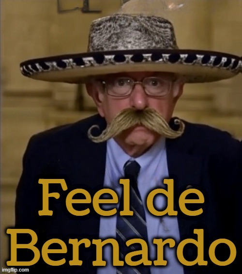 ¡Hora le Bernardo! | Feel de Bernardo | made w/ Imgflip meme maker