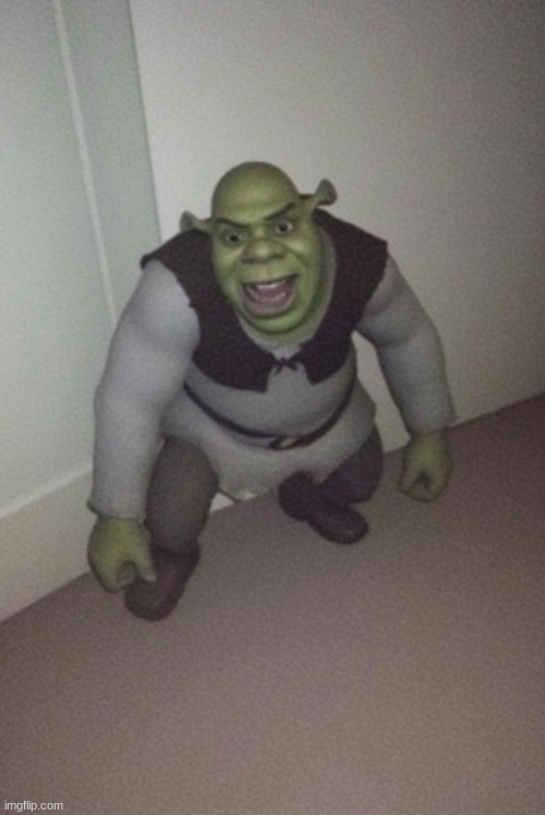 image tagged in cursed image,cursed images,shrek | made w/ Imgflip meme maker
