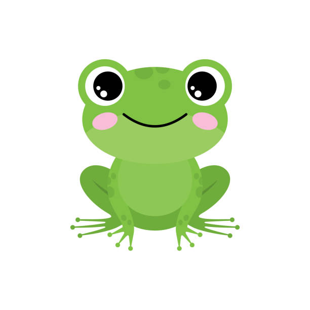 sapo pepe Blank Meme Template