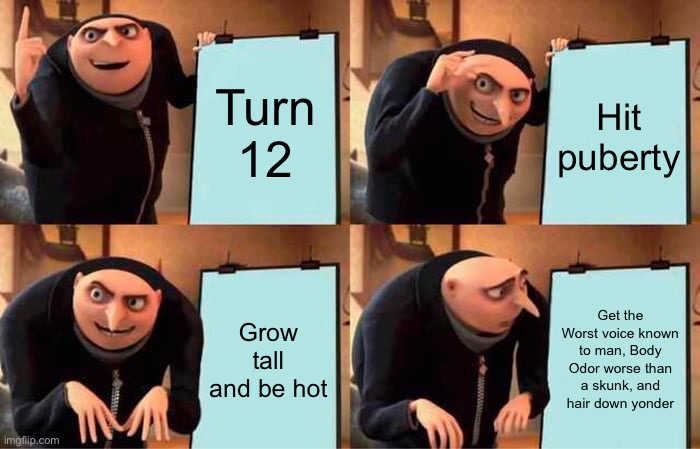 Gru's Plan Meme | Turn 12 Hit puberty Grow tall and be hot Get the Worst voice known to man, Body Odor worse than a skunk, and hair down yonder | image tagged in memes,gru's plan | made w/ Imgflip meme maker