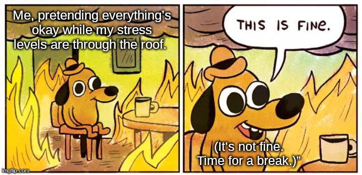 not fine | Me, pretending everything’s okay while my stress levels are through the roof. (It’s not fine. Time for a break.)” | image tagged in memes,this is fine | made w/ Imgflip meme maker