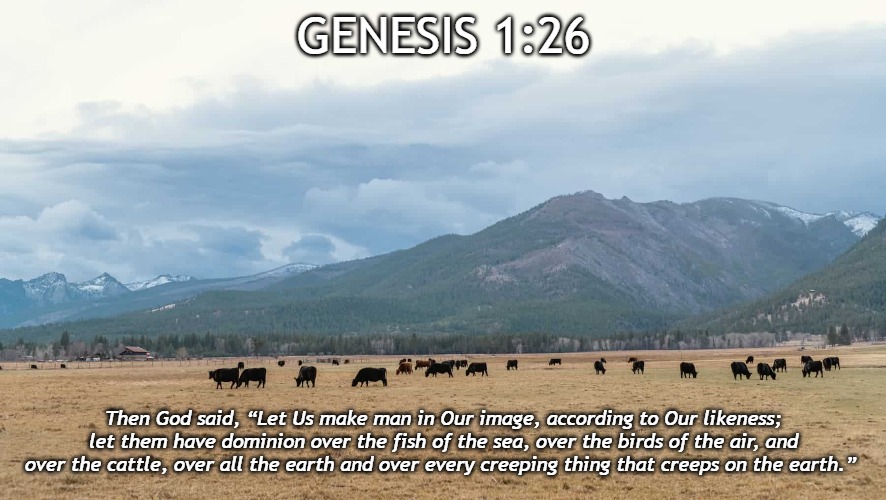 Bible Verse | GENESIS 1:26; Then God said, “Let Us make man in Our image, according to Our likeness; let them have dominion over the fish of the sea, over the birds of the air, and over the cattle, over all the earth and over every creeping thing that creeps on the earth.” | image tagged in christiansonly,gods creation,mankind,humans | made w/ Imgflip meme maker