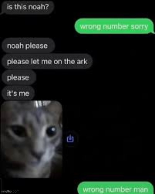 image tagged in wrong number,noah | made w/ Imgflip meme maker