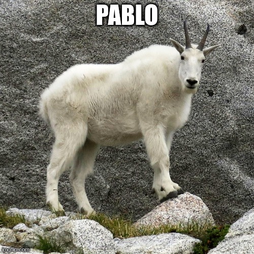 PABLO | made w/ Imgflip meme maker