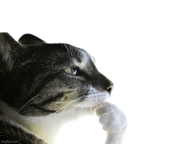 Is this ragebait? | image tagged in is this ragebait | made w/ Imgflip meme maker