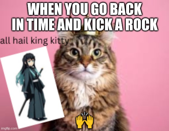 cat | WHEN YOU GO BACK IN TIME AND KICK A ROCK; 🙌 | image tagged in time travel,cats | made w/ Imgflip meme maker