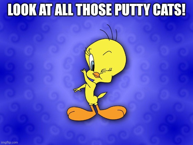 Tweety bird | LOOK AT ALL THOSE PUTTY CATS! | image tagged in tweety bird | made w/ Imgflip meme maker