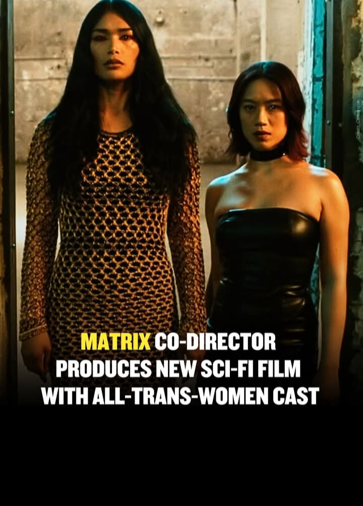 Funny Blank Meme Template