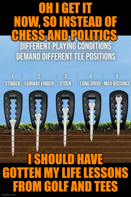 Funny | OH I GET IT NOW, SO INSTEAD OF CHESS AND POLITICS; I SHOULD HAVE GOTTEN MY LIFE LESSONS FROM GOLF AND TEES | image tagged in funny,politics,life lessons,golf,chess,first world problems | made w/ Imgflip meme maker