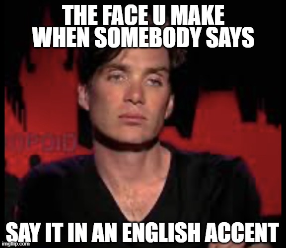 The face you make | WHEN SOMEBODY SAYS; THE FACE U MAKE; SAY IT IN AN ENGLISH ACCENT | image tagged in memes | made w/ Imgflip meme maker