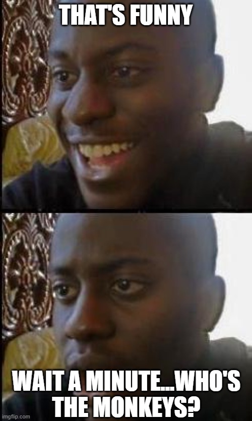 Disappointed Black Guy | THAT'S FUNNY WAIT A MINUTE...WHO'S THE MONKEYS? | image tagged in disappointed black guy | made w/ Imgflip meme maker
