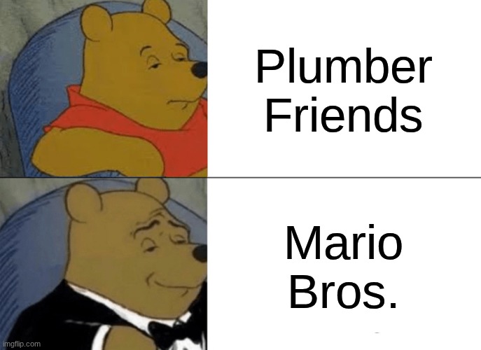 Mario Bros Culture | Plumber Friends; Mario Bros. | image tagged in memes,tuxedo winnie the pooh | made w/ Imgflip meme maker