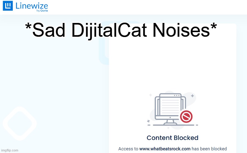 whyyyy... | *Sad DijitalCat Noises* | made w/ Imgflip meme maker