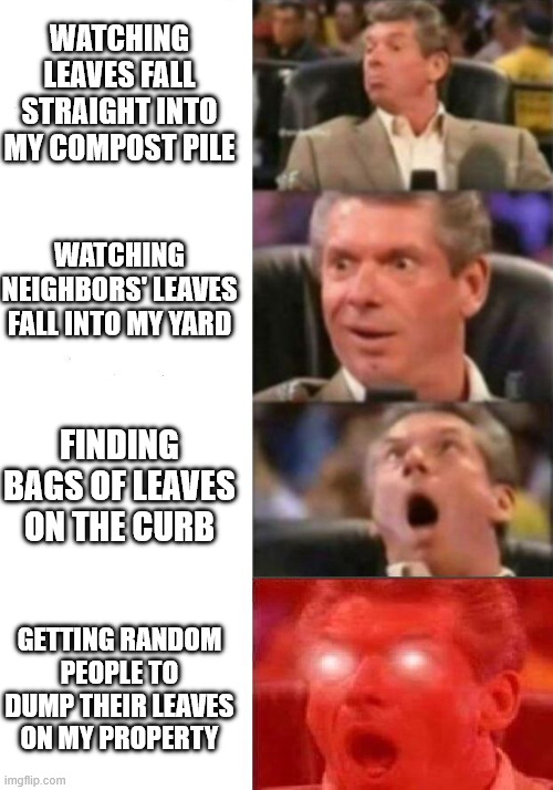 Mr. McMahon reaction | WATCHING LEAVES FALL STRAIGHT INTO MY COMPOST PILE; WATCHING NEIGHBORS' LEAVES FALL INTO MY YARD; FINDING BAGS OF LEAVES ON THE CURB; GETTING RANDOM PEOPLE TO DUMP THEIR LEAVES ON MY PROPERTY | image tagged in mr mcmahon reaction | made w/ Imgflip meme maker
