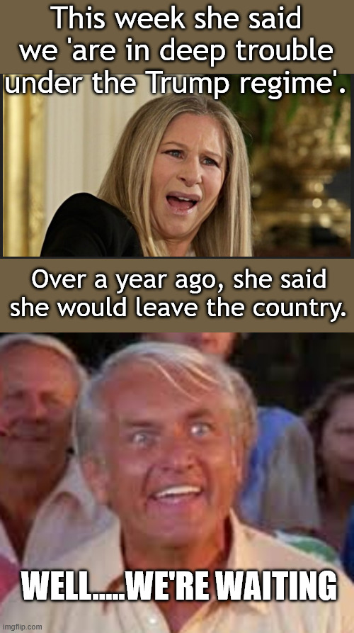She's not the only one still here... | This week she said we 'are in deep trouble under the Trump regime'. Over a year ago, she said she would leave the country. WELL.....WE'RE WAITING | image tagged in judge smails | made w/ Imgflip meme maker