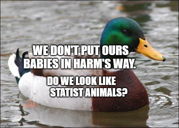Good Advice Duck | WE DON'T PUT OURS BABIES IN HARM'S WAY. DO WE LOOK LIKE           STATIST ANIMALS? | image tagged in good advice duck | made w/ Imgflip meme maker