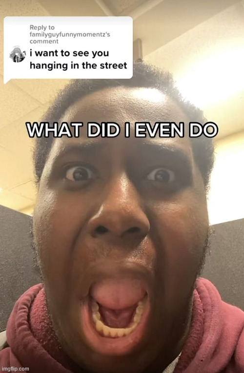 imma start sending softcore porn if we keep getting fun stream memes | image tagged in what did i even do | made w/ Imgflip meme maker