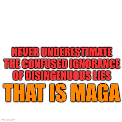 Blank Transparent Square Meme | NEVER UNDERESTIMATE THE CONFUSED IGNORANCE OF DISINGENUOUS LIES THAT IS MAGA | image tagged in memes,blank transparent square | made w/ Imgflip meme maker