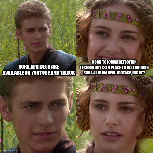 Anakin Padme 4 Panel | SORA AI VIDEOS ARE AVAILABLE ON YOUTUBE AND TIKTOK; GOOD TO KNOW DETECTION TECHNOLOGY IS IN PLACE TO DISTINGUISH SORA AI FROM REAL FOOTAGE, RIGHT? | image tagged in anakin padme 4 panel | made w/ Imgflip meme maker
