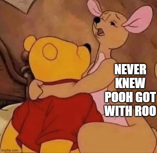 Pooh and Roo | NEVER KNEW POOH GOT WITH ROO | image tagged in cartoons,adult humor | made w/ Imgflip meme maker