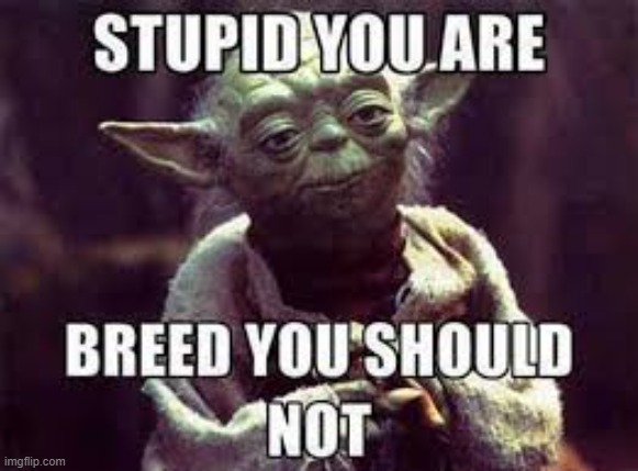 Stupid you Are | image tagged in repost | made w/ Imgflip meme maker