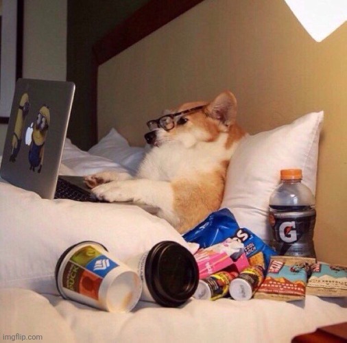 doggy style in bed | image tagged in lazy dog in bed | made w/ Imgflip meme maker