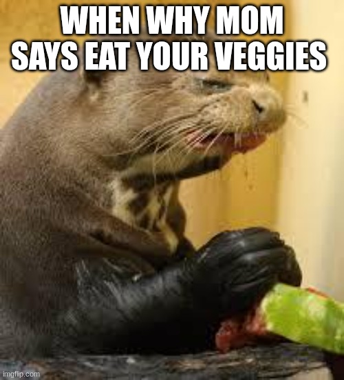 Disgusted Otter | WHEN WHY MOM SAYS EAT YOUR VEGGIES | image tagged in disgusted otter | made w/ Imgflip meme maker