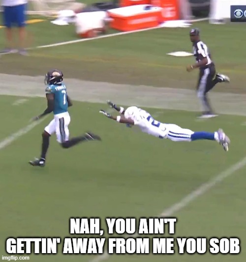 DIVE! | NAH, YOU AIN'T GETTIN' AWAY FROM ME YOU SOB | image tagged in sports,nfl | made w/ Imgflip meme maker