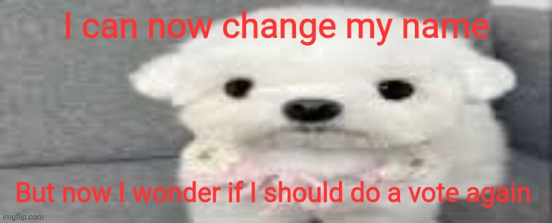 Dog stating | I can now change my name; But now I wonder if I should do a vote again | image tagged in dog stating | made w/ Imgflip meme maker